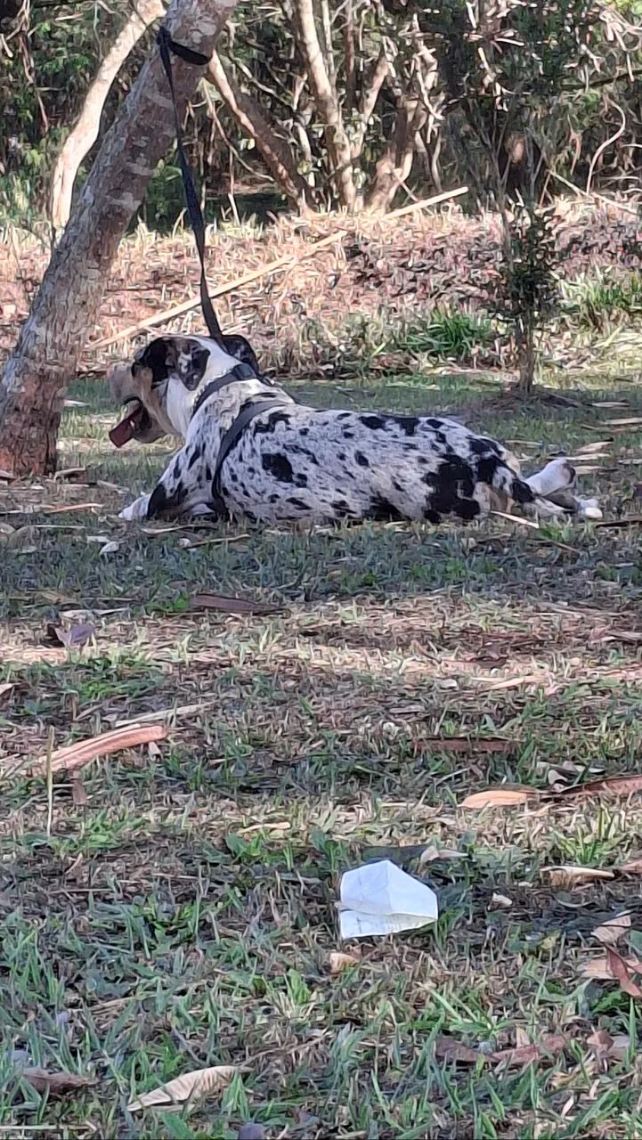 Doação conciente - Foto 2
