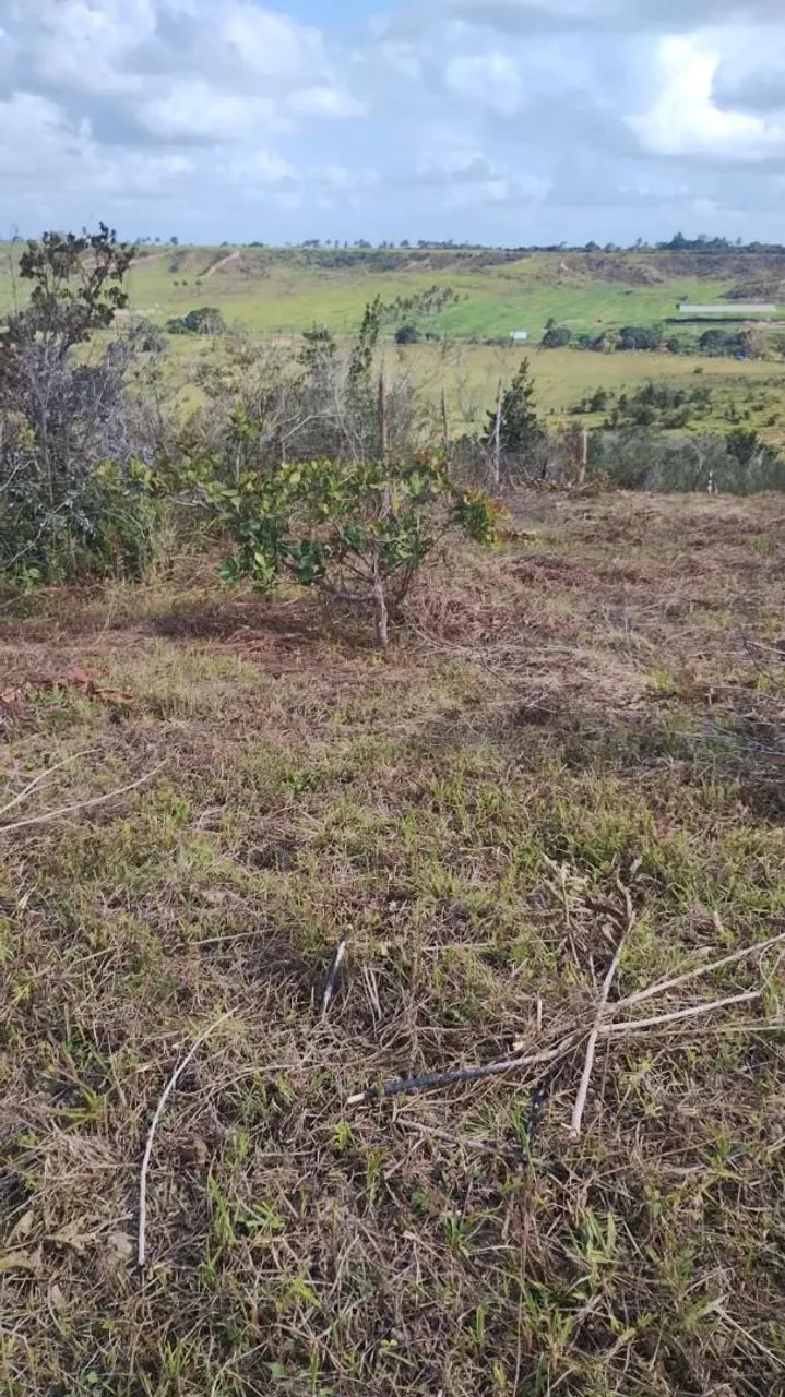 Terreno 10x60 salgado  - Foto 4