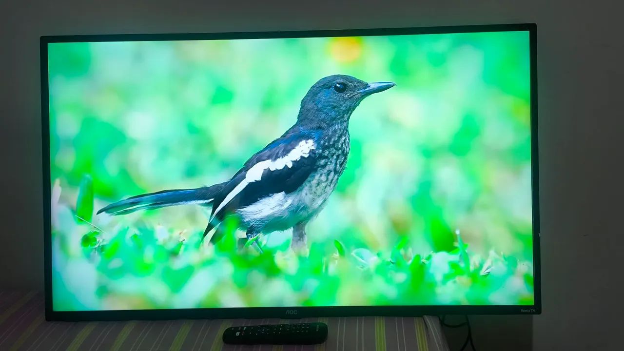 VENDO AOC ROKU TV 43 POLEGADAS SEM DETALHES  - Foto 5