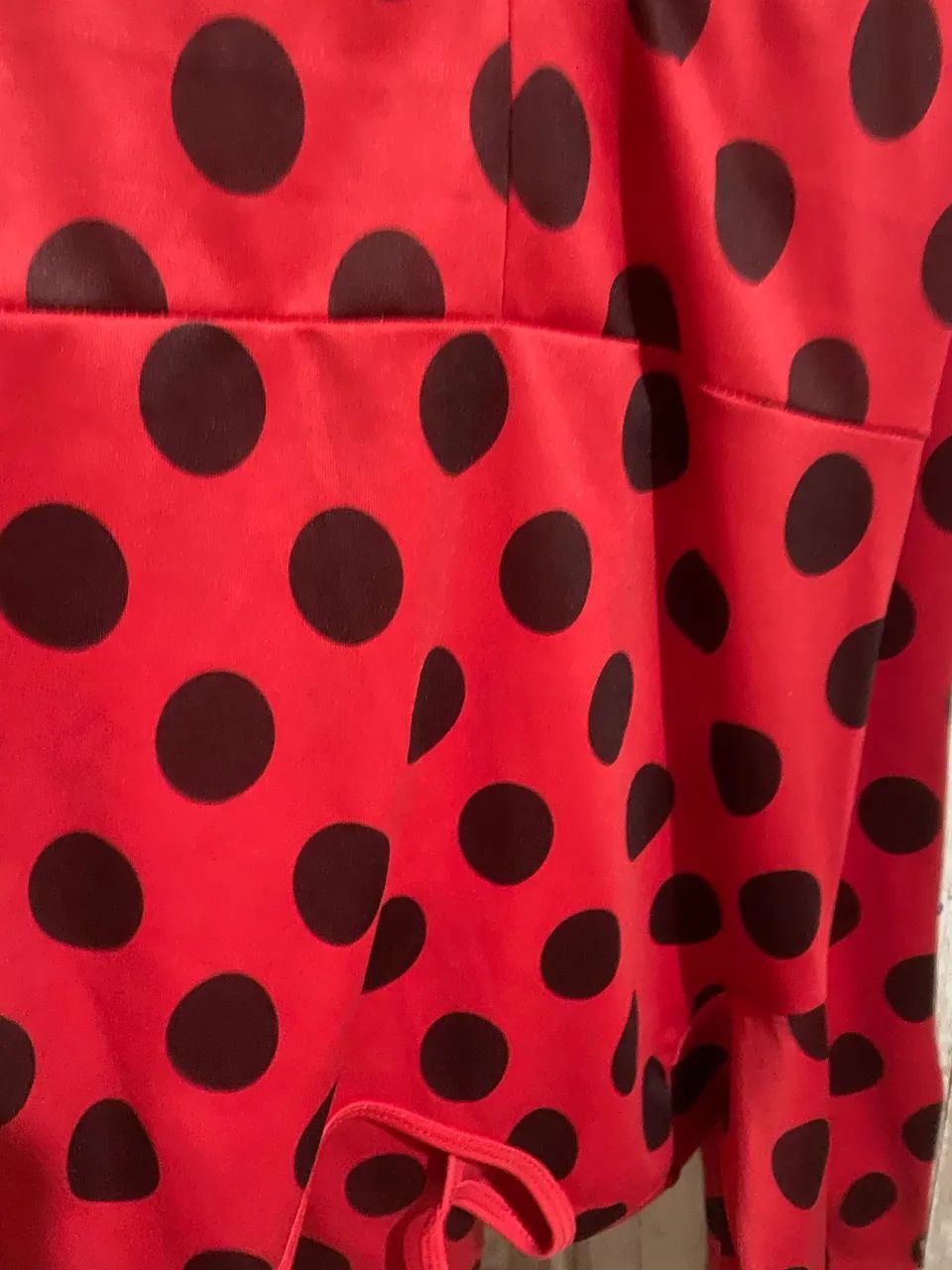 Fantasia lady bug - Foto 2