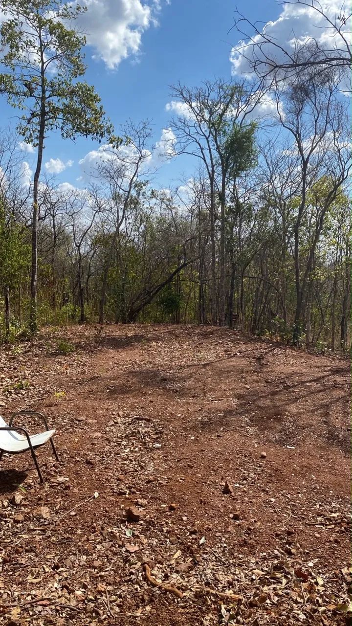 Vende se chácara próximo a caldazinha e região  - Foto 5