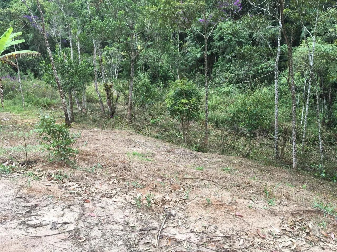 OPORTUNIDADE EM ALFREDO CHAVES - ES  - Foto 3