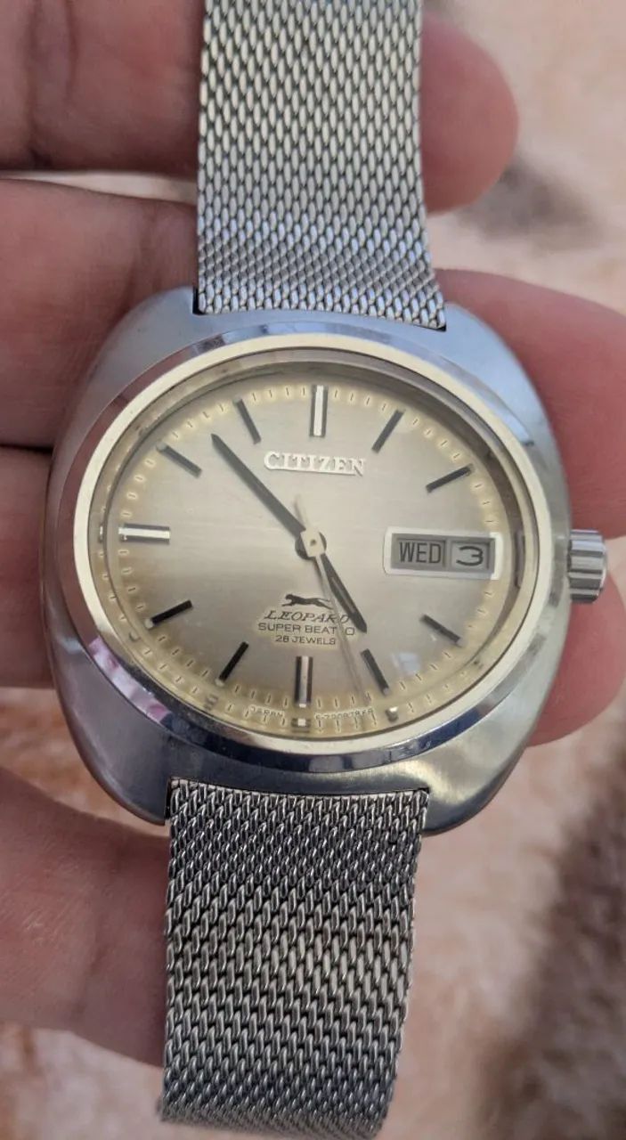Relógio Citizen leopard,uma máquina do tempo.
