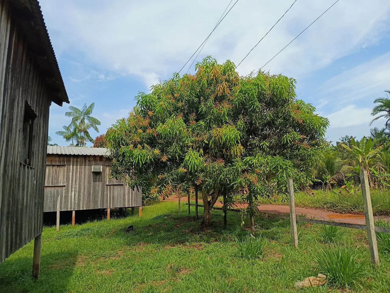 Terreno com casa  - Foto 4