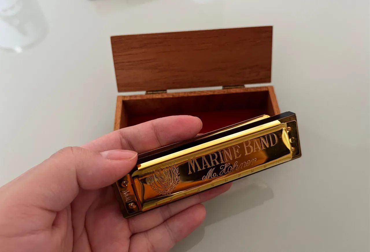 GAITA HOHNER COMEMORATIVA 100 ANOS - Foto 2