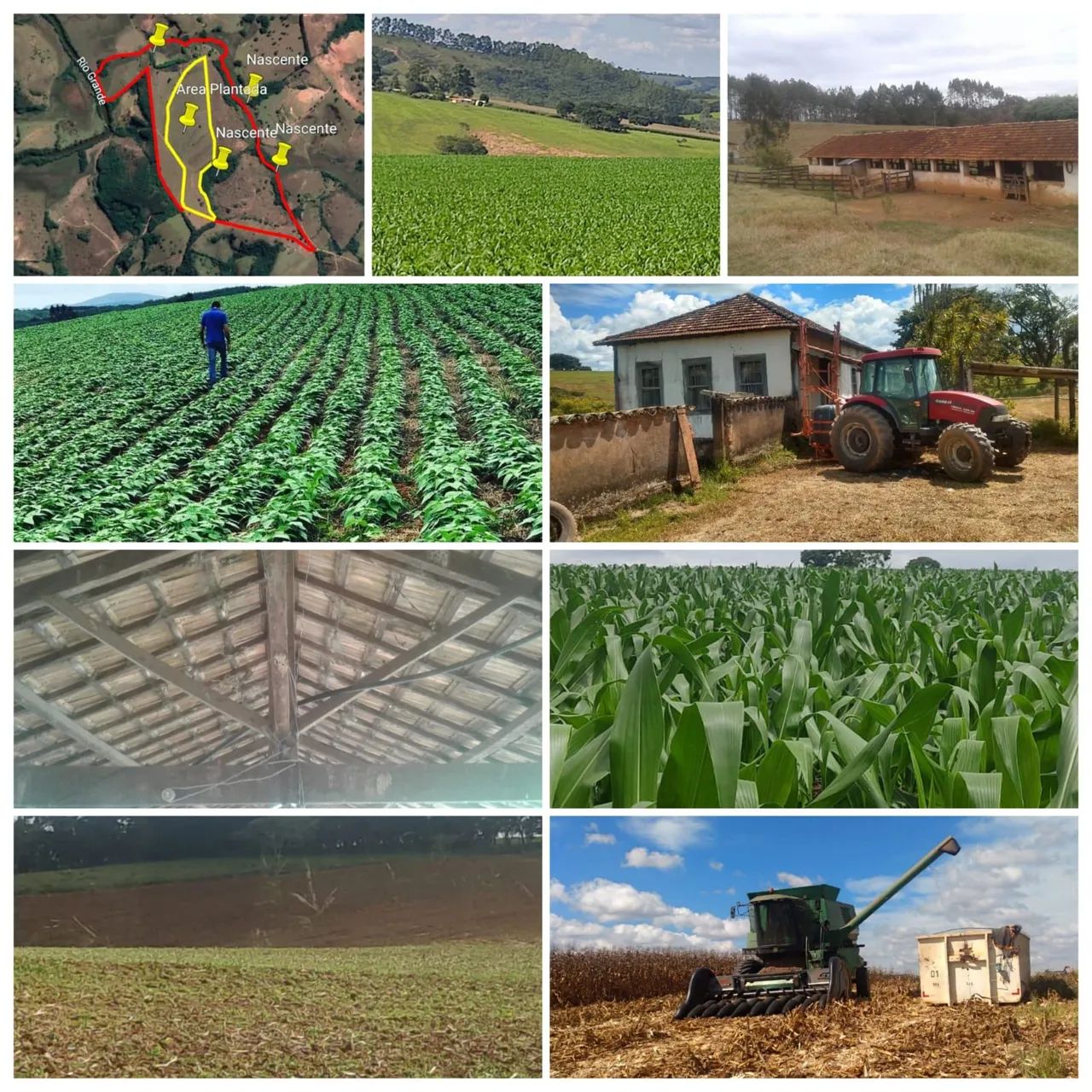 FAZENDA CENTENÁRIA 