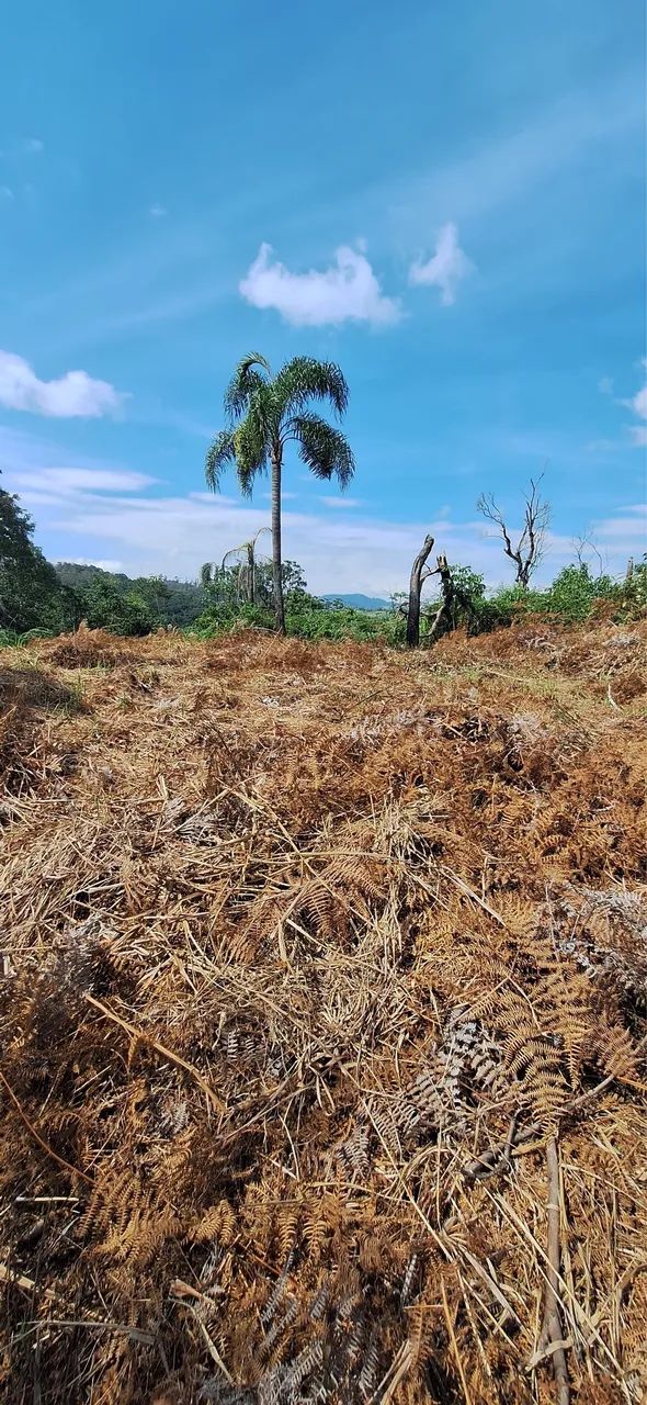 Terreno Redenção da Serra - Foto 3