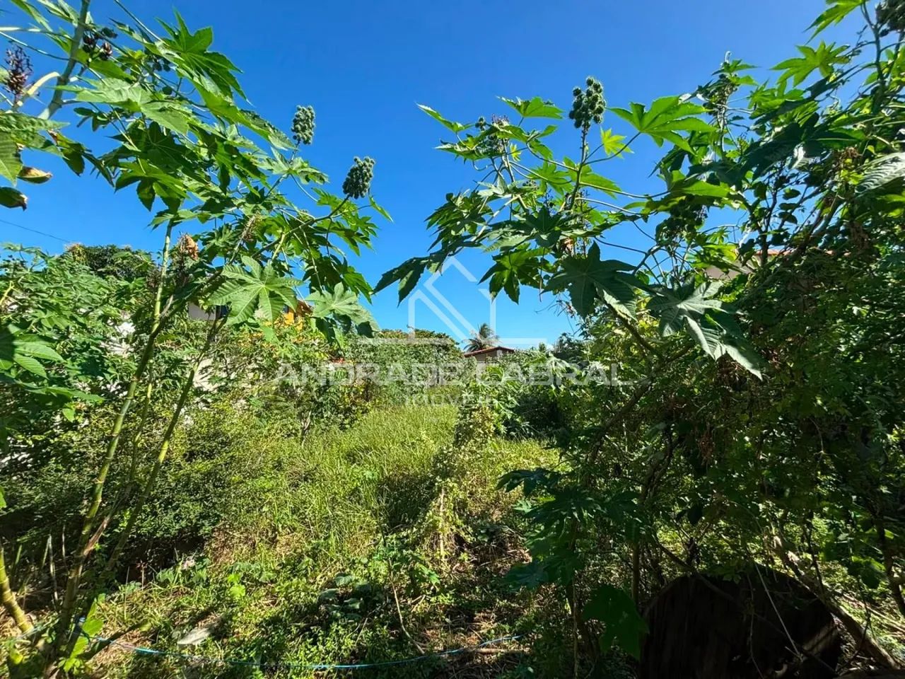 TERRENO À VENDA NO ROBALO | 510m² - Foto 3