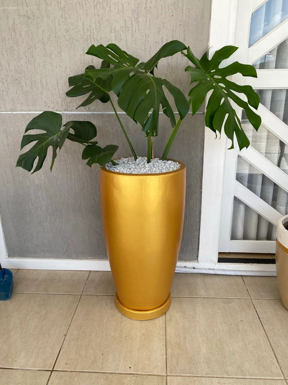 Jarros decorativos  - Foto 2