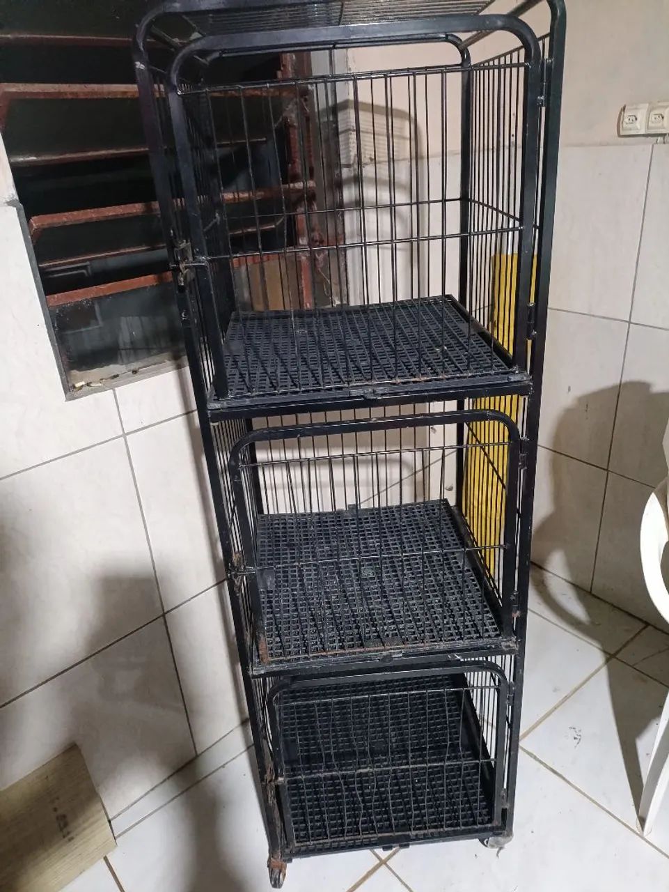 CANIL GAIOLA 3 LUGARES