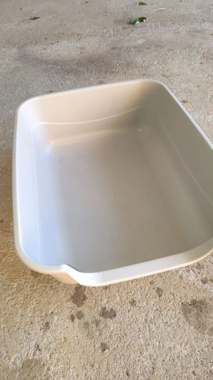 Caixa de areia grande para gatos