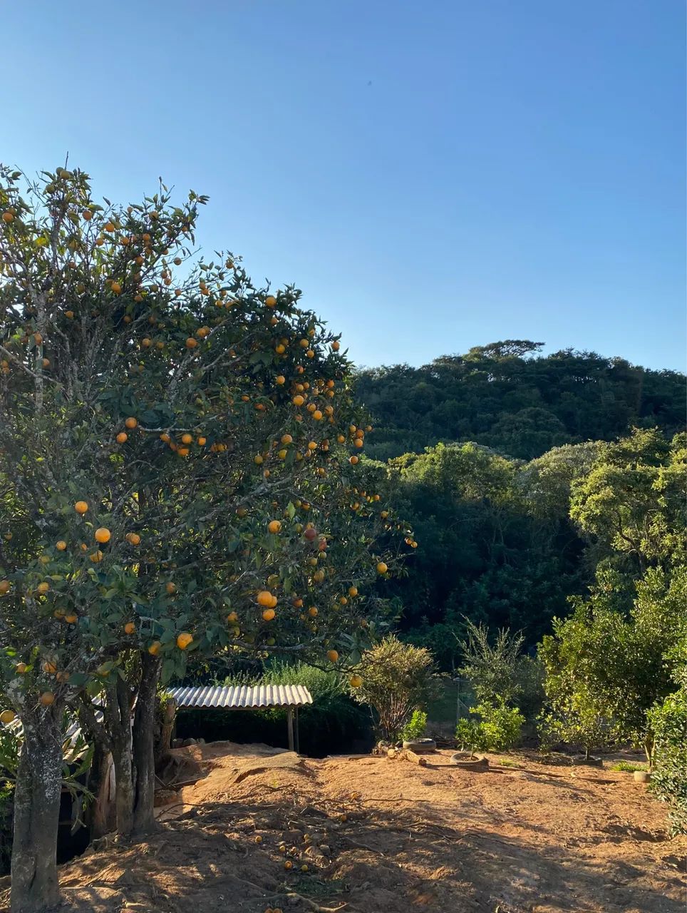Lote em Campolide  - Foto 5