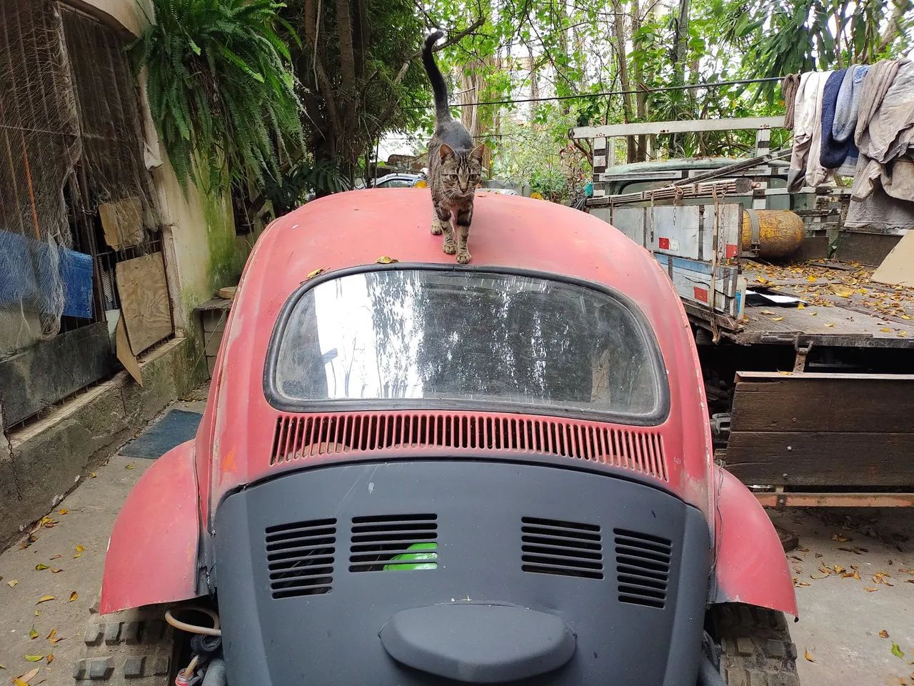 Fusca 64 de trilha - Foto 3