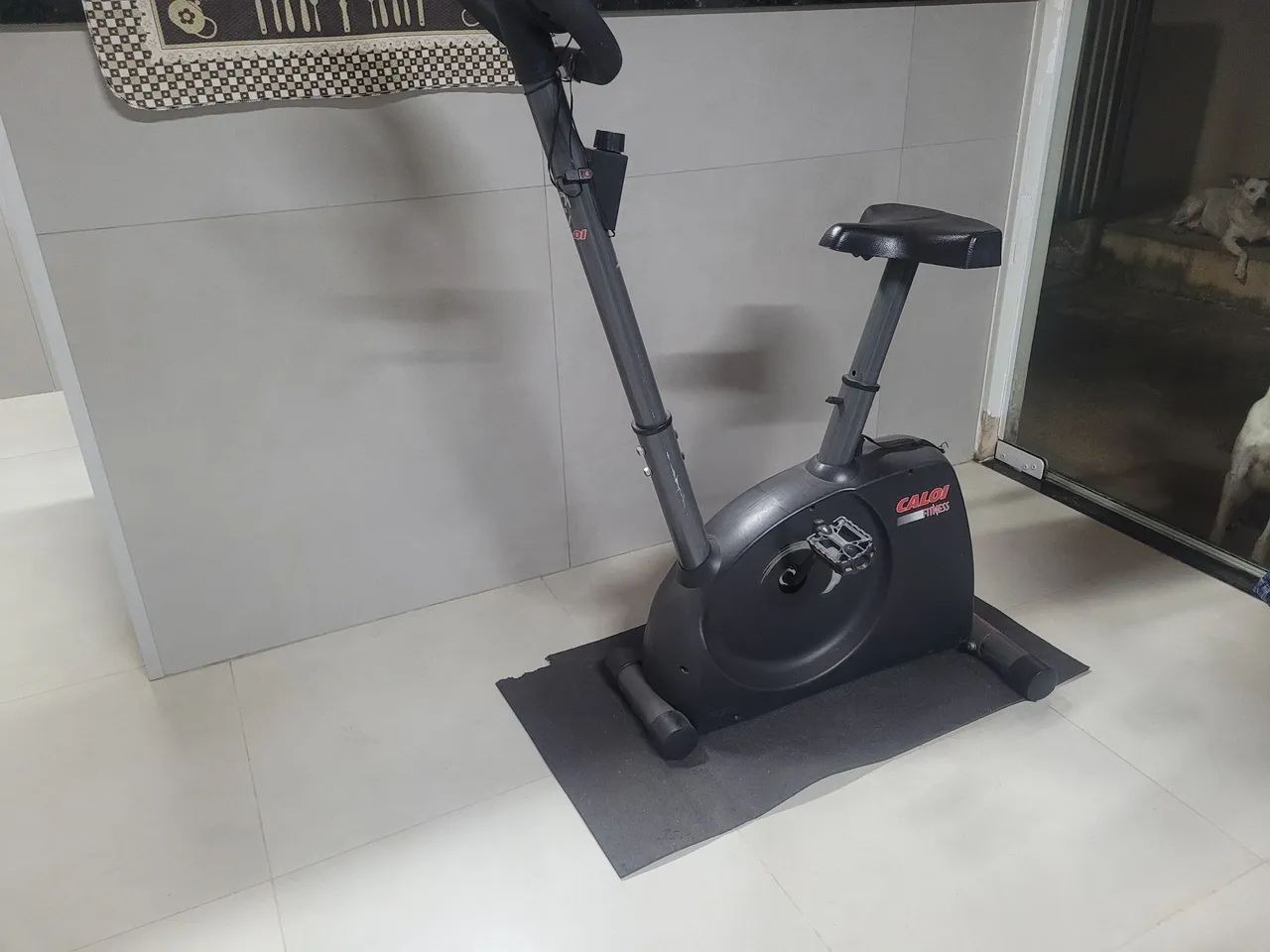 Bicicleta Ergométrica  Caloi
