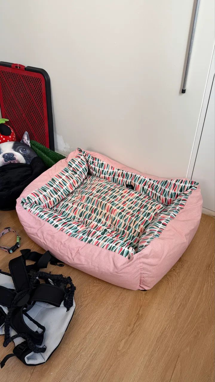 Kit pet cama bebedouros coleiras