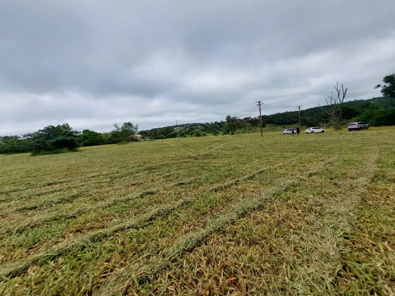 Excelente lote no PALMAS DEL REY! - Foto 3