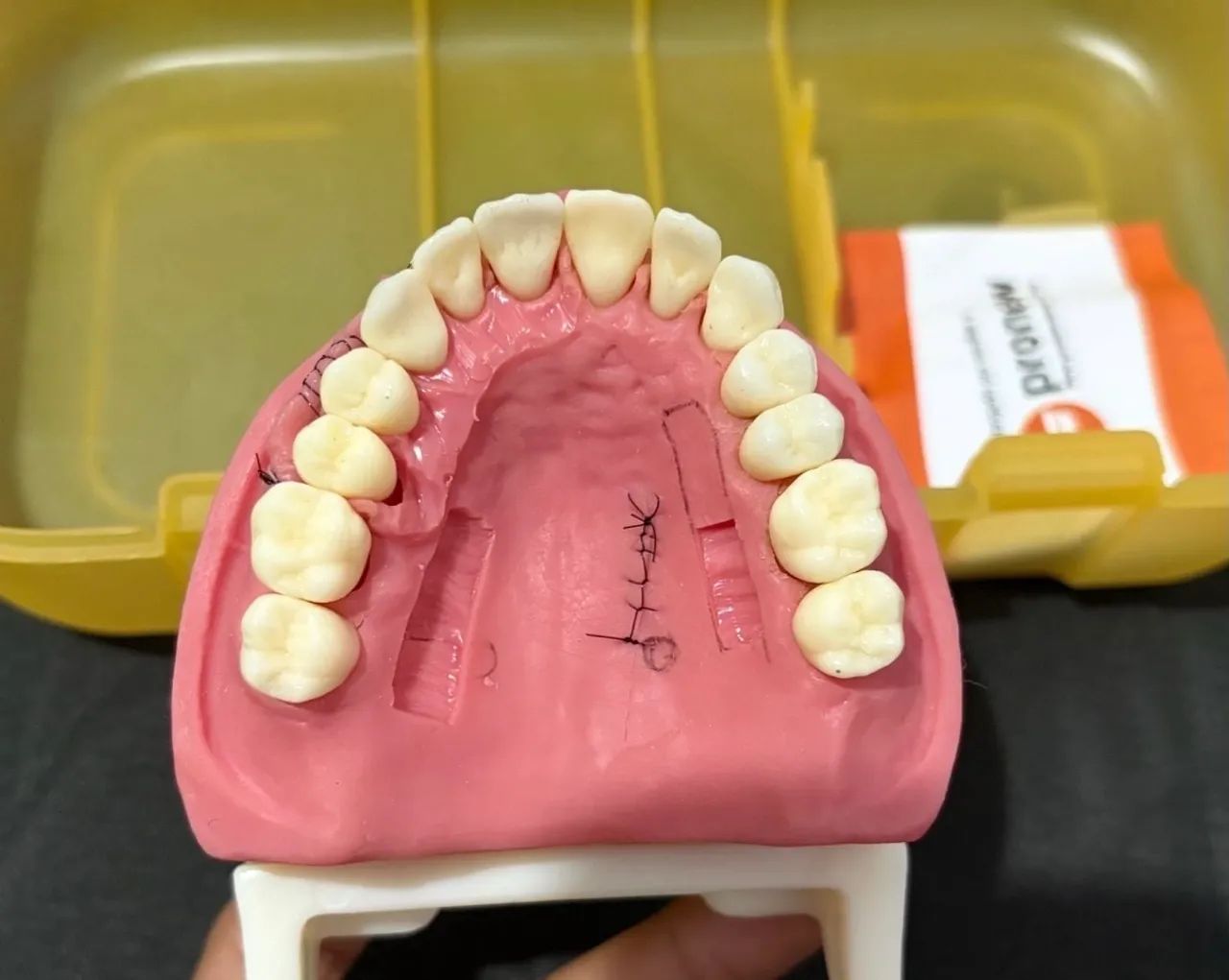 Manequim Periodontia - Pronew - Foto 3