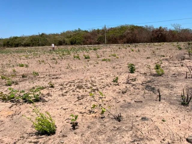 Terreno na lagoinha Paraipaba  - Foto 3