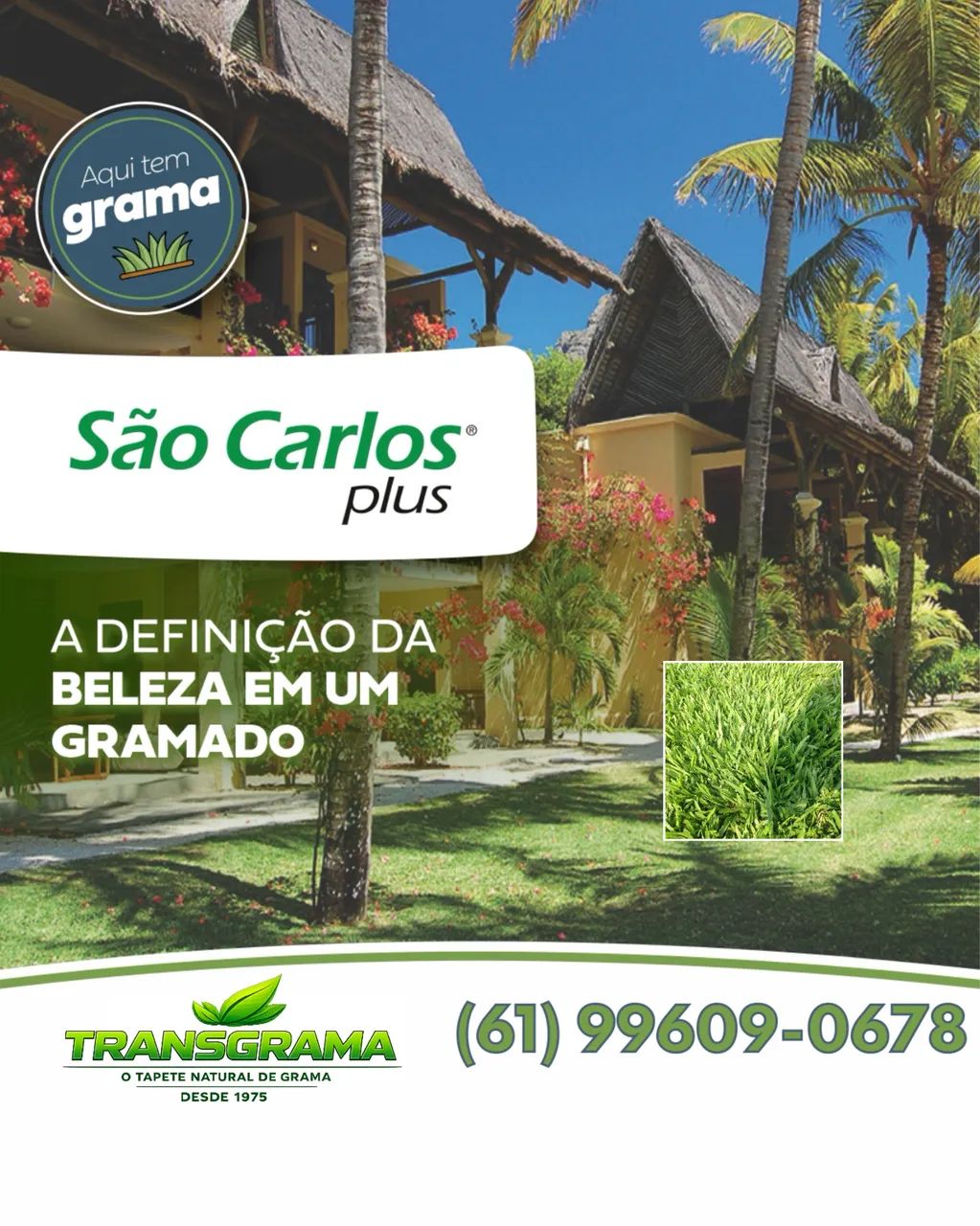 GRAMA BATATAIS, SÃO CARLOS, ZEON. - Foto 3