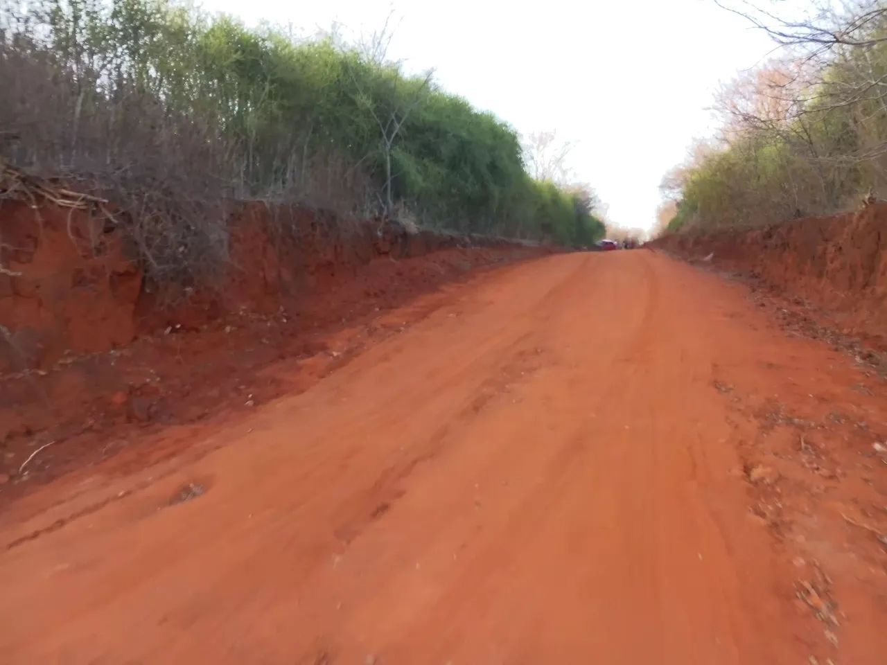 Terreno tremedal