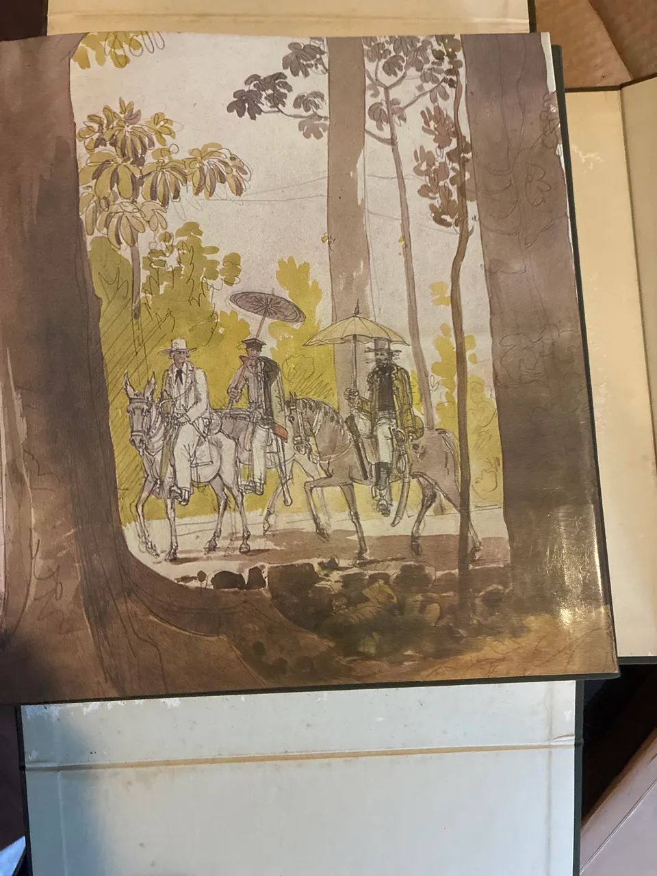 Livro -O Brasil de Thomás Ender