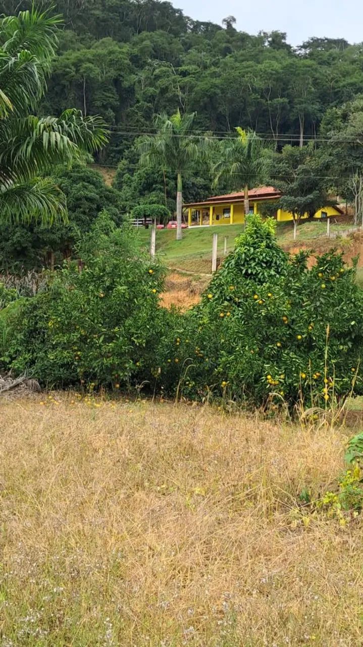 Vendo chácara em Paraju - Domingos Martins  - Foto 5