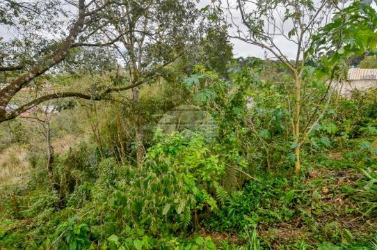 Terreno à venda em Jardim do rocio, Almirante tamandaré cod:154410 - Foto 16