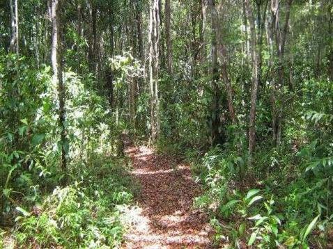 Fazenda para venda em camamu, tapuía - Foto 13
