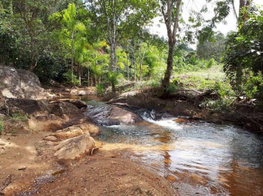 Fazenda com 15 Hectares (150 mil metros) em João Neiva - Foto 5