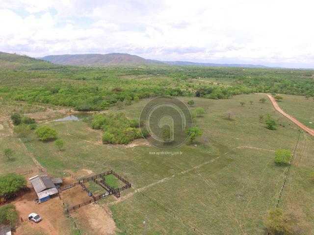 Sítio 70 ha na guia - Foto 11