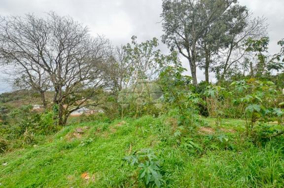 Terreno à venda em Jardim do rocio, Almirante tamandaré cod:154410 - Foto 13