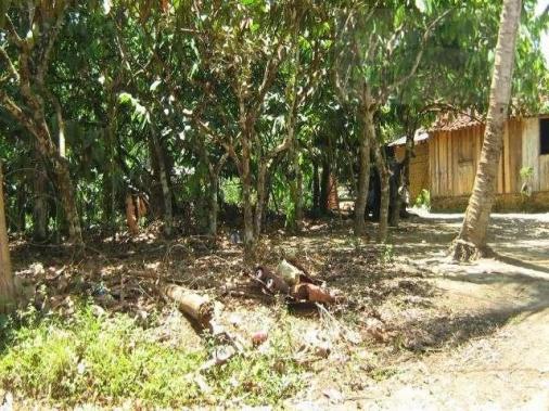 Fazenda para venda em camamu, tapuía - Foto 17