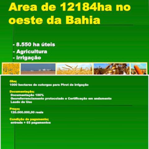 Fazenda na Bahia