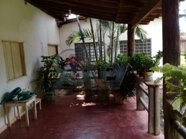 Fazenda/com um projeto que da valorização as terras - Foto 4