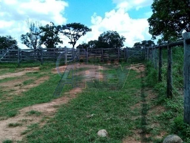 Fazenda/com um projeto que da valorização as terras - Foto 17