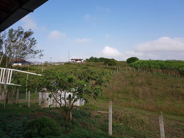 Bela fazendinha às margens da represa " Pedra do Cavalo" com casa boa - Foto 17
