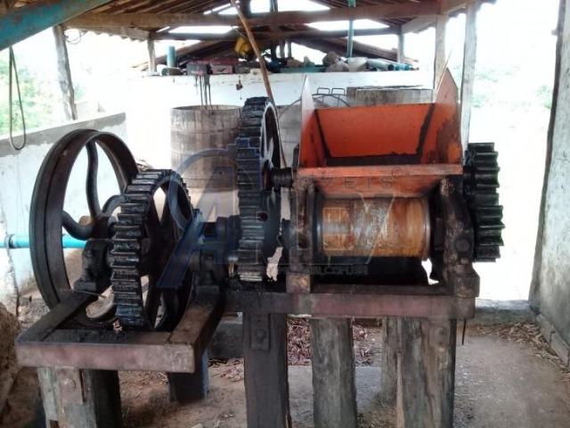 Fazenda/com um projeto que da valorização as terras - Foto 19