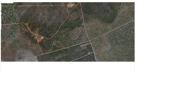 Fazenda Mundo Novo (Russas - CE) - Foto 2