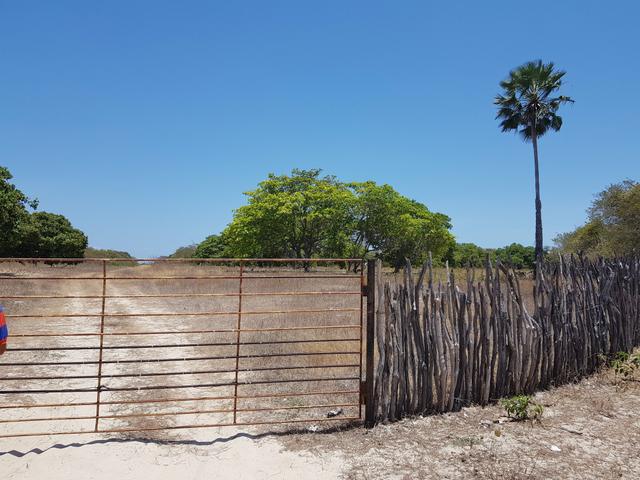 Terreno Para Viveiro de Camarão - Foto 2