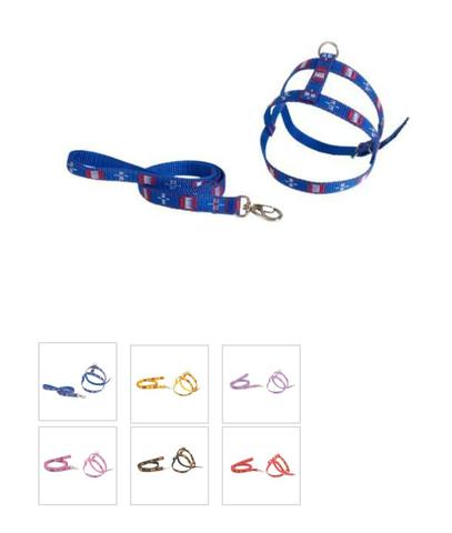 Conjunto Coleira Peitoral e Guia Tubular N1 D&G Pet