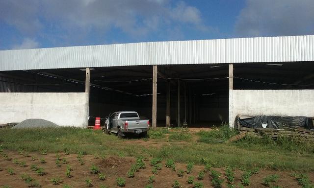Galpão na BR 135 com 5000m² - Foto 6