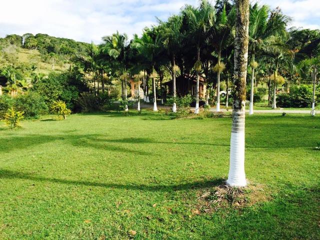 Lindo Sitio em Camboriú - Foto 5