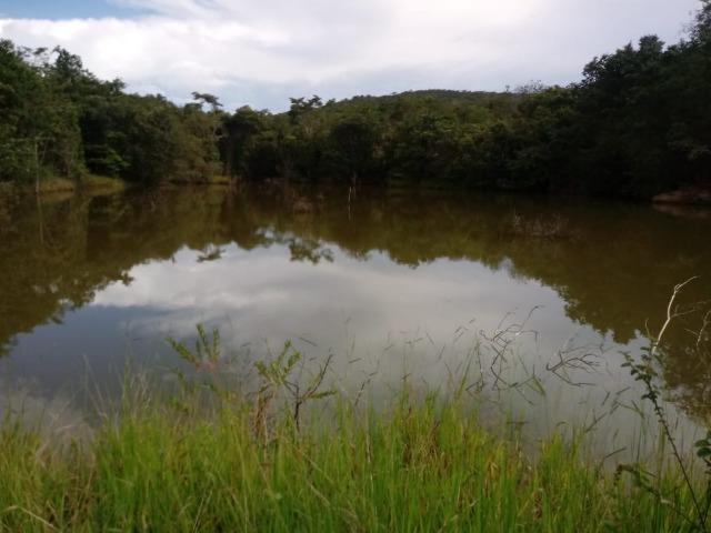 Fazenda 22 alqueires