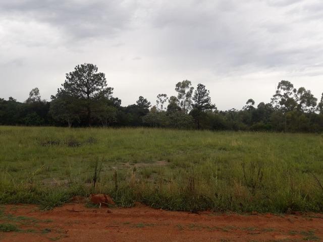 Terreno Lami 1.000m2 -Sítio - Estrada Extrema - Zona Sul de Porto Alegre - Caminhos Rurais - Foto 7