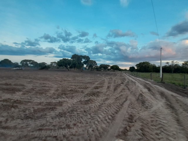 40 Alqueires em cocalinho Mt  - Foto 4