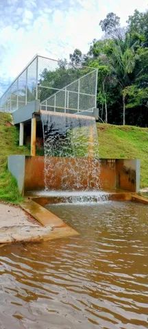 Chácaras Rio Negro,  lotes 3.000 m2, excelentes preço e transferência. - Foto 3