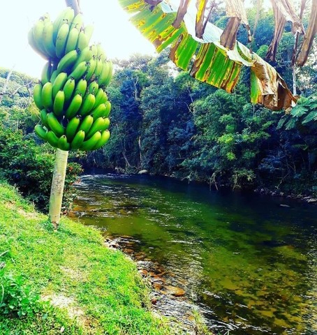 Linda casa em Lumiar com 4 suítes e rio pra banho nos fundos (1 km da praça) - Foto 2