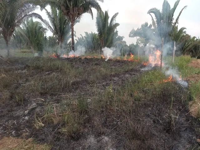 foto - Porto Velho - Caladinho