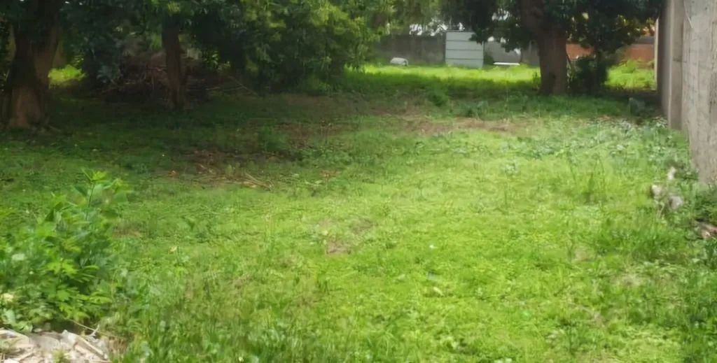 Terreno à venda em Presidente Altino, Osasco - Ótima localização e infraestrutura! - Foto 2