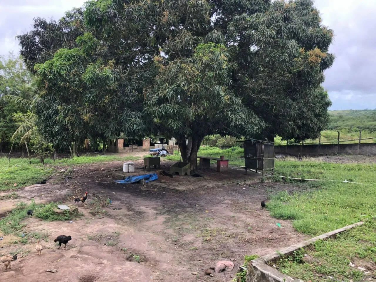 # Lote de terreno no Socorro 68026 - Foto 3